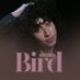 The Bird Hub (@thebirddhub) Twitter profile photo The Bird Hub (@thebirddhub) Twitter profile photo