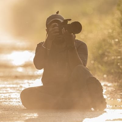 Wildlife Conservation Enthusiast | Wild Cats | Eastern Himalayan Landscape | PhD student @mizoramuni | Biologist @NamdaphaTR