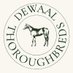 deWaal Thoroughbred Management (@dewaalhorsemgmt) Twitter profile photo deWaal Thoroughbred Management (@dewaalhorsemgmt) Twitter profile photo