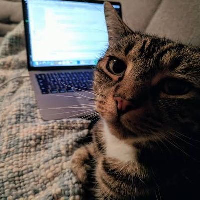 x1developer09's profile picture. | 𝙼𝙴𝚁𝙽 𝚂𝚝𝚊𝚌𝚔 𝙴𝚗𝚝𝚑𝚞𝚜𝚒𝚊𝚜𝚝 | 𝙲𝚛𝚒𝚌𝚔𝚎𝚝 𝙻𝚘𝚟𝚎𝚛