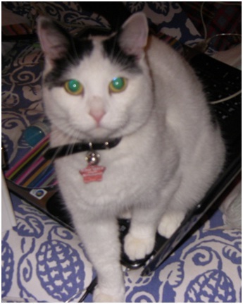 kezsrj's profile picture. 