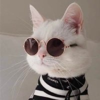 Sand-Witch (@saaandwitch) 's Twitter Profile Photo