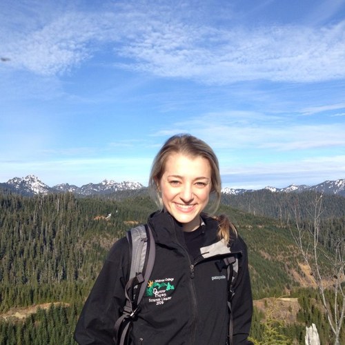 AmyLiechty's profile picture. 