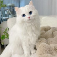 Coastal Glow (@coastalglow2) 's Twitter Profile