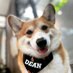 ギフトを受け取るには、本アカウントをフォローしてください (@bag_iey) Twitter profile photo ギフトを受け取るには、本アカウントをフォローしてください (@bag_iey) Twitter profile photo