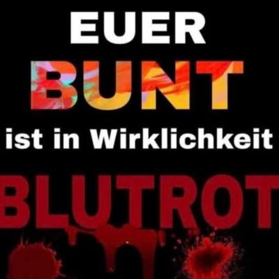 FrankyM6669's profile picture. 