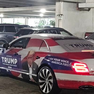 WTFisgoingon954's profile picture. Just observing