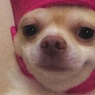 galileo2123's profile picture. 33