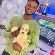 The reply guy (@udomity2) 's Twitter Profile