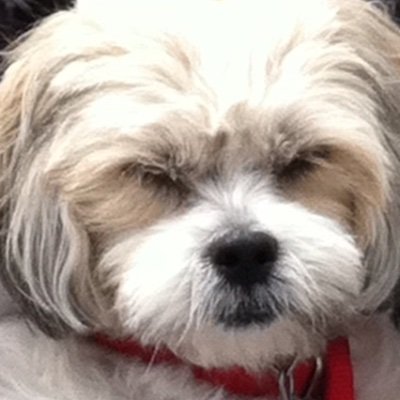 ErikSharp9's profile picture. 