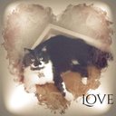 Michael lanier - @lanier97606 - Twitter