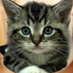 Wendy Hoffman (@msbggunz1971) Twitter profile photo Wendy Hoffman (@msbggunz1971) Twitter profile photo