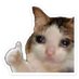 A (@xandinibambini) Twitter profile photo A (@xandinibambini) Twitter profile photo
