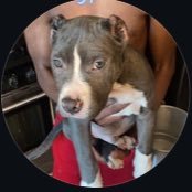 tzeintennn's profile picture. nsfw | bi | 18+ | verse