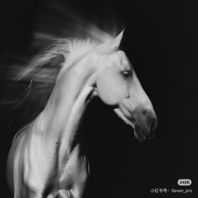 i4v6Pr6CSweRlLD's profile picture. 