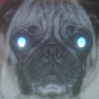 Mr Pickles says See ya later traitor! (@skellis01) 's Twitter Profile