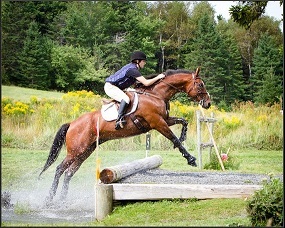 RebaEventing's profile picture. Reba Stewart. Prelim 1* event rider from NB, Canada. Lover of packers and OTTBs alike. Hopeless horse shopaholic. Pro stall mucker and tack guru.