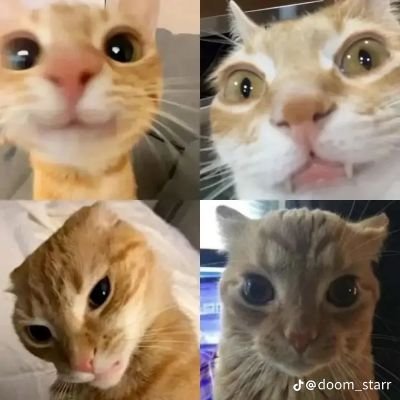 sloppyfemb38902's profile picture. 