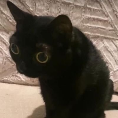 rob_tj090's profile picture. Unity Dev • Web programmer • IA Programmer

Co - founder at SouFUN Studio