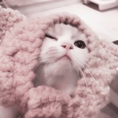 melx_ze07's profile picture. 20歳.Fかっぷ♡♡