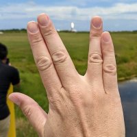 Dr. Christina (@botany_nerd) 's Twitter Profile