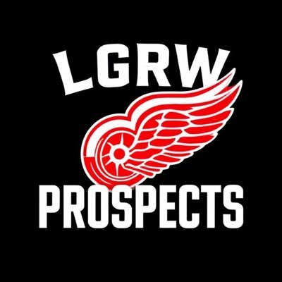 Red Wings prospects | Red Wings hockey | stat lines+highlight clips|Not affiliated with the Detroit Red Wings, just a dude who watches too much hockey