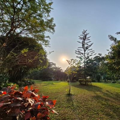 INDIAN_483's profile picture. Photon in a double-slit 💥