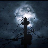 Alan (@alansmith56778) 's Twitter Profile