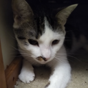 Eddie Hunt - @EddieHunt598360 - Twitter