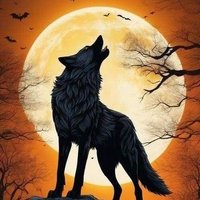 Salar (@salarlsm) 's Twitter Profile Photo Salar (@salarlsm) 's Twitter Profile Photo