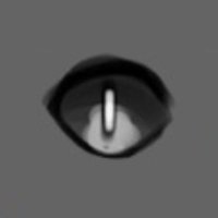 Legit SynthwaveGS Leaks (@pyoro_del_aldi) 's Twitter Profile Photo Legit SynthwaveGS Leaks (@pyoro_del_aldi) 's Twitter Profile Photo