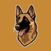 BROCCOLI - CZ'S DOG (@broccolibsccto) Twitter profile photo BROCCOLI - CZ'S DOG (@broccolibsccto) Twitter profile photo