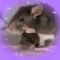 Lord of the Rats (@rightgame7u7) 's Twitter Profile
