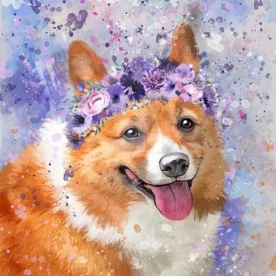 Reformed Christian, Wife, Zoomer, Corgi Enthusiast