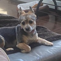 CB (@carolynbny) 's Twitter Profile