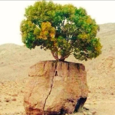 thabet344527's profile picture. لبيك وإن فاضت الذنوب والخطايا فلا منجى منك إلا إليك