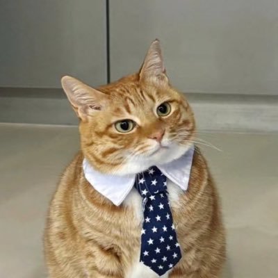 cobaltblueさんのプロフィール画像