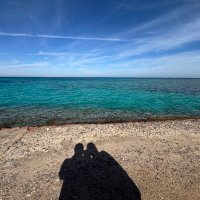 ᗩᗂᗩ ᥫ᭡🇵🇸🔻 (@ayasurg) 's Twitter Profile Photo