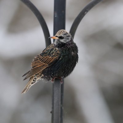 photography, birds, nature, family... not necessarily in that order
