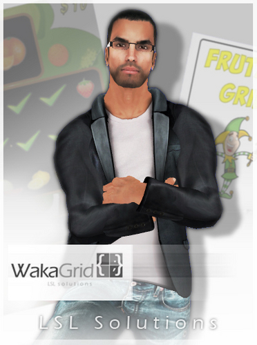 WakaGrid is an small company created to develop solutions in LSL.