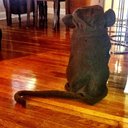 Willie Kline - @willkline34 - Twitter