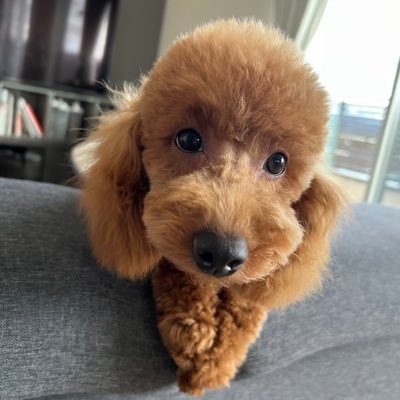 5歳👦3歳👦1歳👧1歳🐶のママです。 懸賞、株主優待にハマっています。美味しいグルメ、スイーツ巡りも好き❤️農家をしながら楽しく趣味を満喫中です。