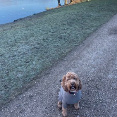 JessAskwith's profile picture. 