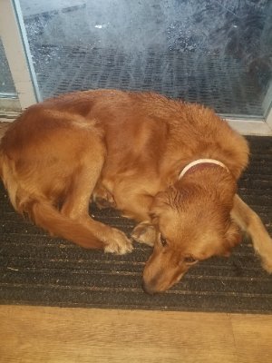 Avrit_dad's profile picture. Tell me why