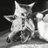 gato_arrabalero's profile image