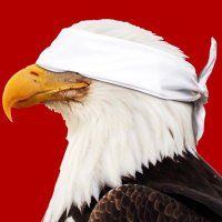 Renee J Mitchell (@drreneemitchell) 's Twitter Profile Photo Renee J Mitchell (@drreneemitchell) 's Twitter Profile Photo