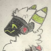 Kit (@liamvanoss94864) 's Twitter Profile