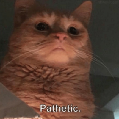 SignalMixe556's profile picture. A bucket of WTF