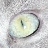 A (@a62283443) 's Twitter Profile