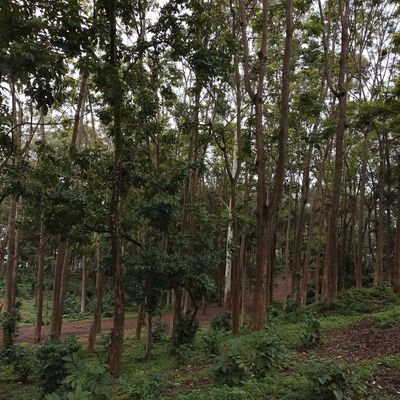 Geologist Explorator, Social and Environmental advocate, GIS Analysist and Remote Sensing,